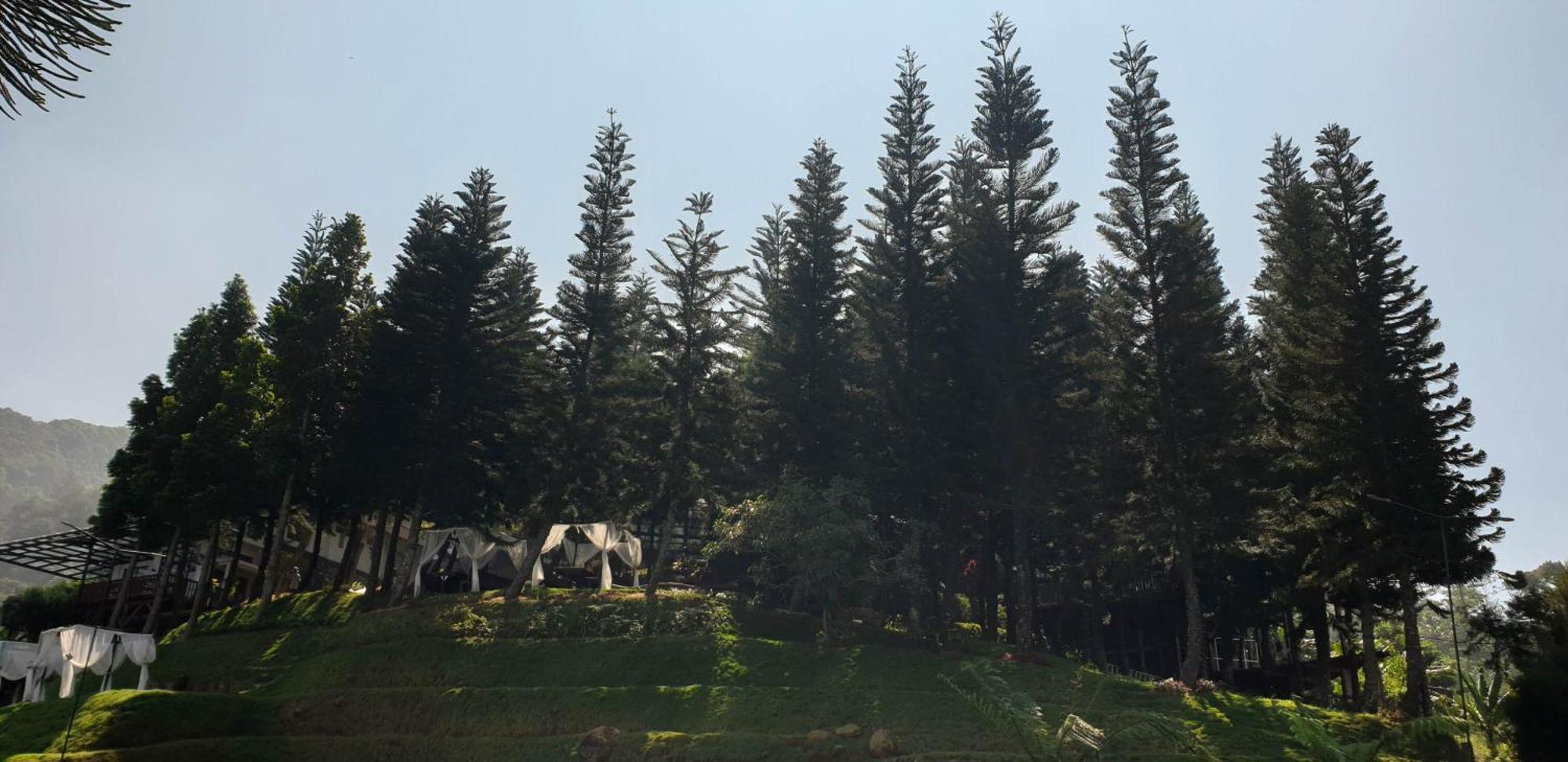 Damar Langit Resort Чісаруа Екстер'єр фото