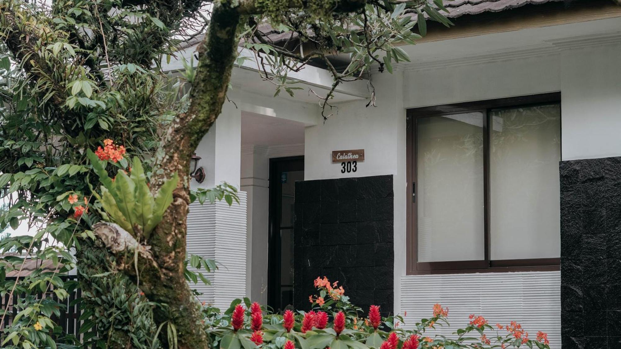 Damar Langit Resort Чісаруа Екстер'єр фото
